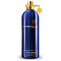 MONTALE Blue Amber Montale for women and men 100 ml unısex Tester parfüm 