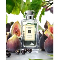 Jo malone Wild Fig &amp; Cassis 100 ml unısex tester parfümü