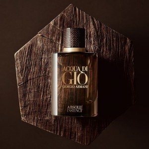 Giorgio Armani Acqua di Giò Absolu Instinct 100 ml Erkek Tester Parfüm 