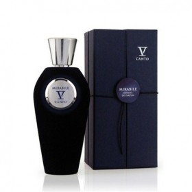 V Canto Mırabıle Edp 100 Ml Erkek Parfüm