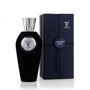 V Canto Mırabıle Edp 100 Ml Erkek Parfüm